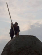 Meiler Bild